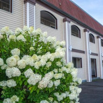 All Seasons Inn & Suites Thumbnail