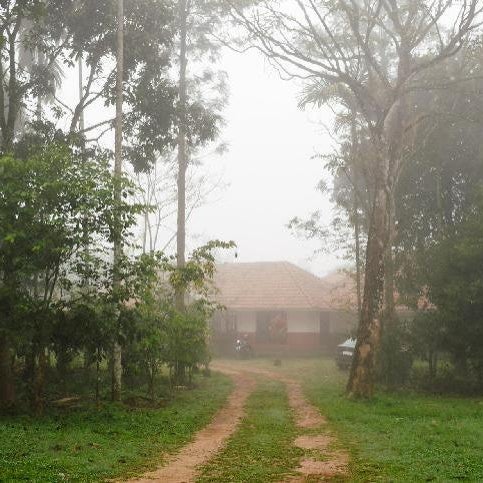 3 Hills County Resort Wayanad