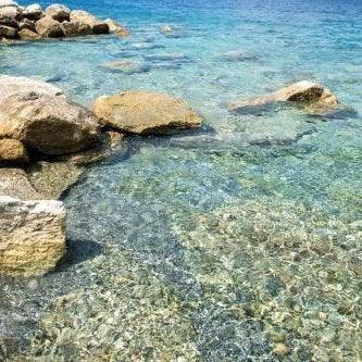 Il corallo azzurro