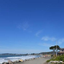 The Oceanfront Stay on MiramarBeach HMB Thumbnail