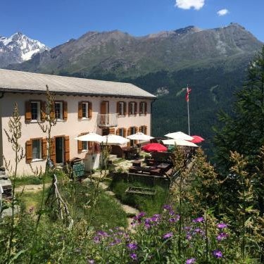 Edelweiss Mountain Guest House - 1 hour hike up from Zermatt station - On hiking trail - No transport Thumbnail