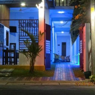 The Amora
