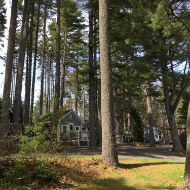 Pine Grove Cottages Thumbnail