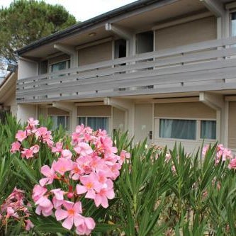 B&B HOTEL Avignon Sud Parc des Expositions