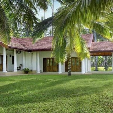 Coco Villa Peach Tree Thumbnail