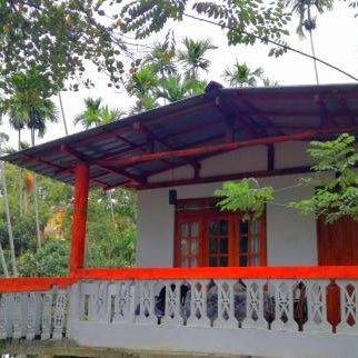 Ella Sunrise Thumbnail