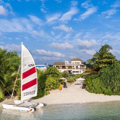 Olive Goidhoo Maldives Thumbnail