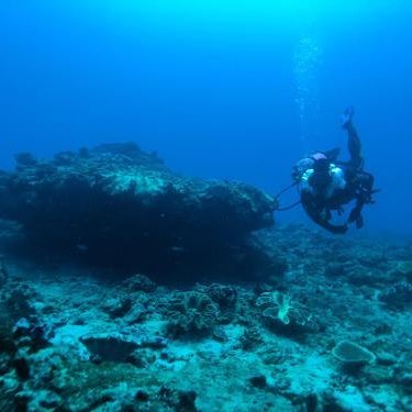Sumba Adventure Resort