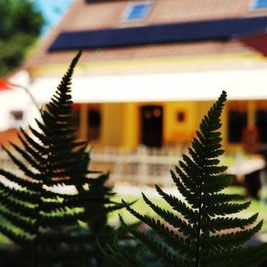 Noortweghe GLAMPING