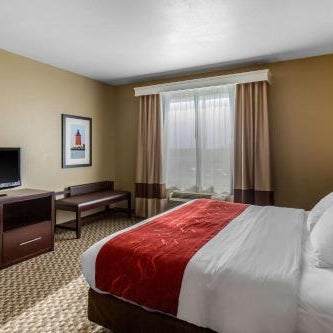 Comfort Suites Seaford Thumbnail