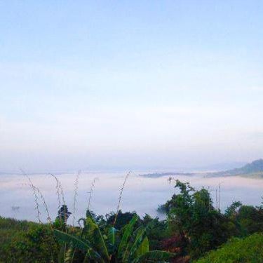 Thanorm Rak Resort