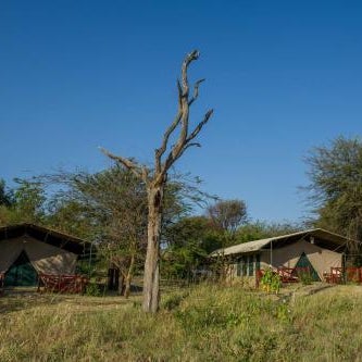 Mbuzi Mawe Serena Camp