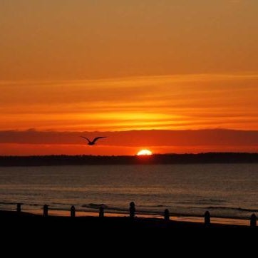 The Skylark Beach Inn Thumbnail
