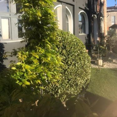 Number 10 Locanda B&B