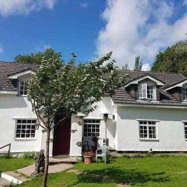 Coynant Farm Guesthouse - Farm Park Stay Thumbnail