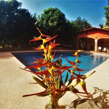 Quinta Comala Hotel & Villas Thumbnail