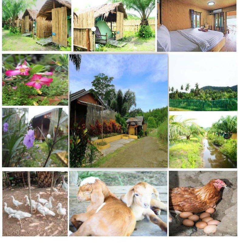 YaoIsland Resort and Farm