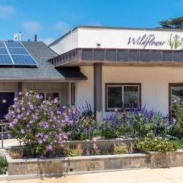 Wildflower Boutique Motel Thumbnail