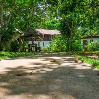 Yoga Dreams Negril Thumbnail