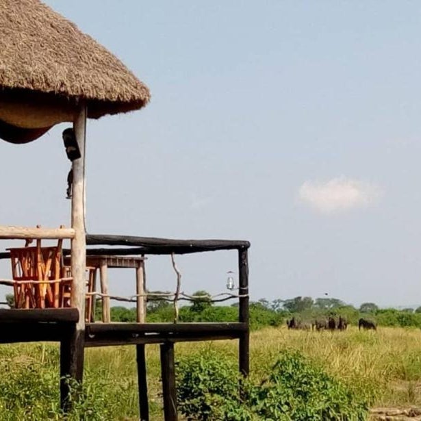 Kazinga Wilderness Safari Camp