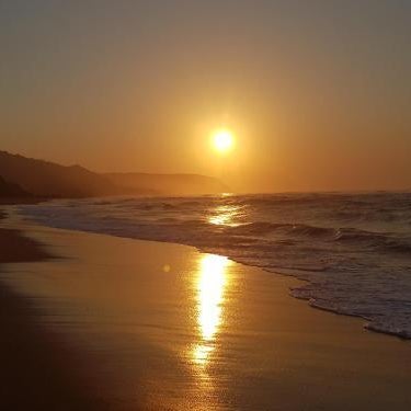 Tranquility PsJ