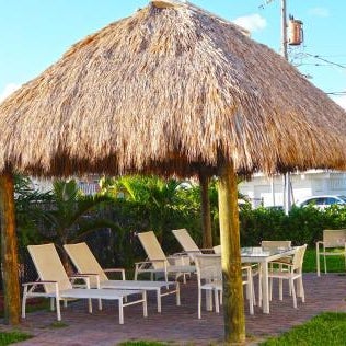 The Flamingo Thumbnail