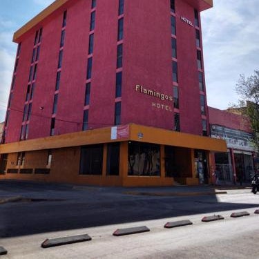 Hotel Flamingos Thumbnail