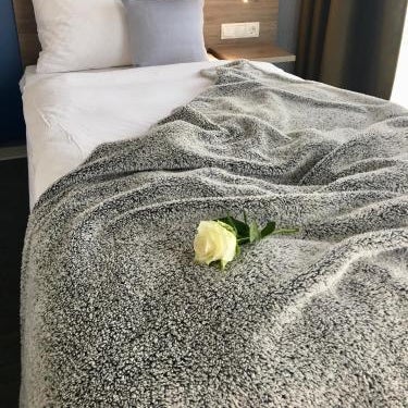 StadtHotel ARTE