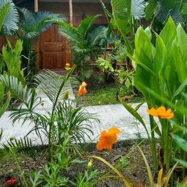 Havelock Farms Resort