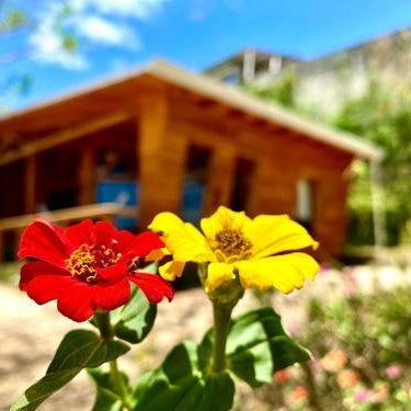 Hoja Azul Thumbnail