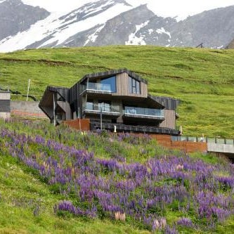 Bergman Mountain Hotel