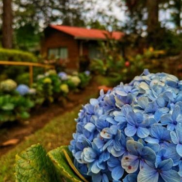Vista Turrialba Lodge