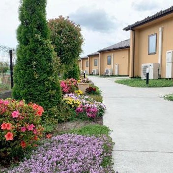 Hananoyado Yumefuji Thumbnail