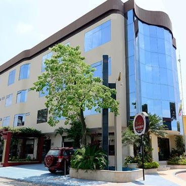 Ceibo Real Thumbnail