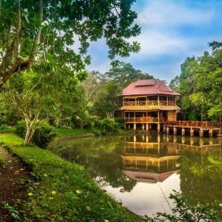 Kingfisher Ecolodge Thumbnail