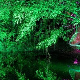 Noah's Forest Hotel by Tifakara Thumbnail