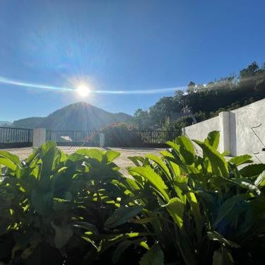 Ella Mansion Thumbnail