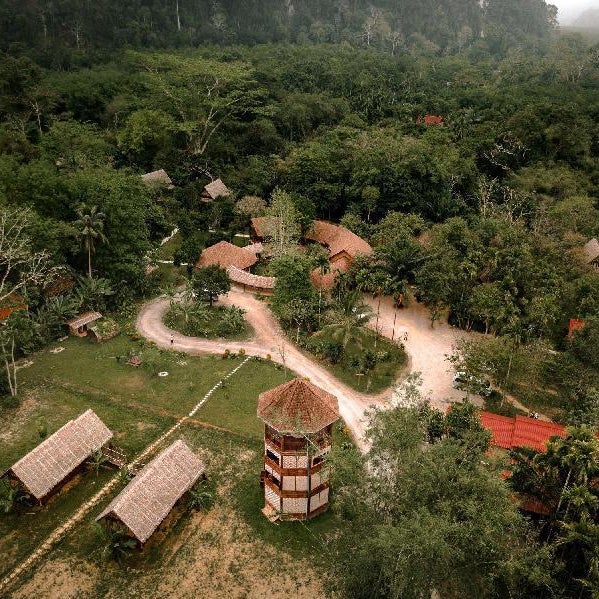 Our Jungle Camp