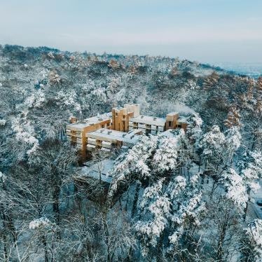Forest Hotel