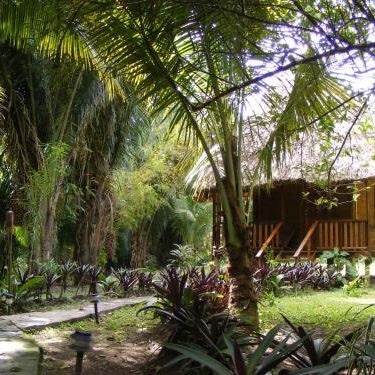 Cohune Palms River Cabanas Thumbnail