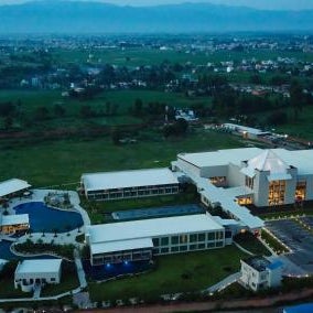 Tiger Palace by Soaltee Thumbnail