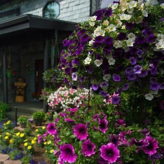 Alaska House of Jade Bed and Breakfast Thumbnail