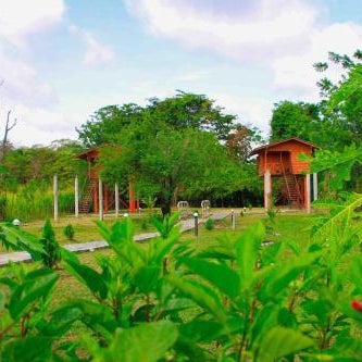 Sigiri Royal Point Tree House Thumbnail