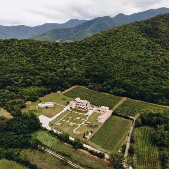 Babaneuris Marani Thumbnail