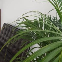 RENTAL SUITES CAMPANA