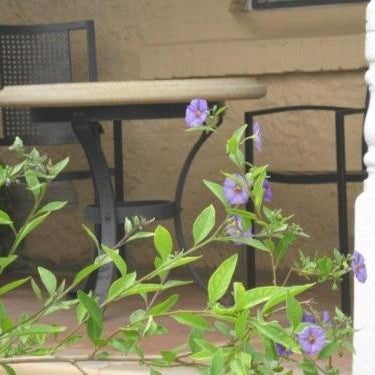 Amalie Cottage Waikerie Unit 1