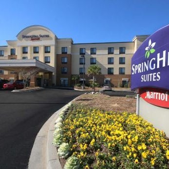 SpringHill Suites by Marriott Charleston North/Ashley Phosphate Thumbnail