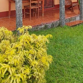 Hotel Playa Santa Martha Thumbnail