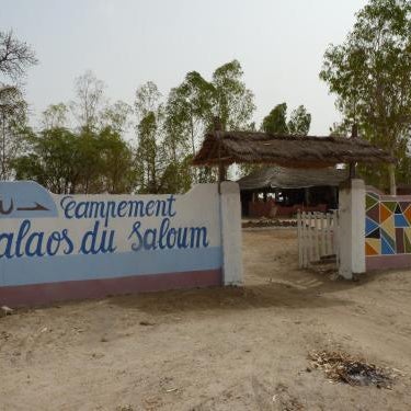 Les Calaos du Saloum