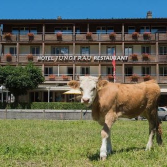 Jungfrau Hotel Thumbnail